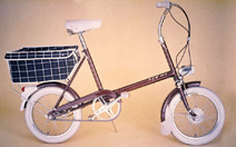 RaleighBike.jpg